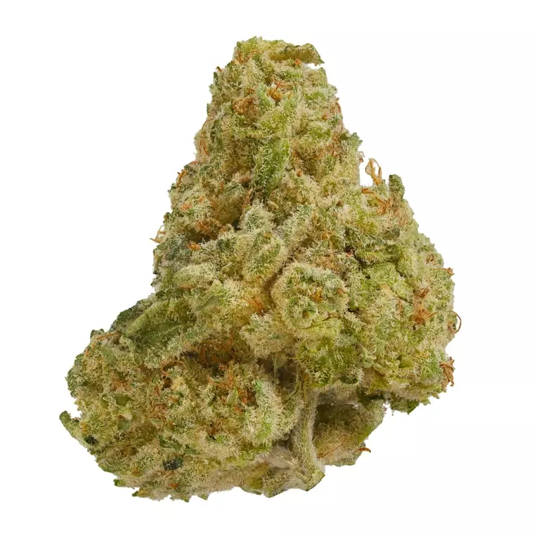 Cresco RST 30/1 – Diablo’s Dream – Produktbild des Anbieters Dr. Ansay