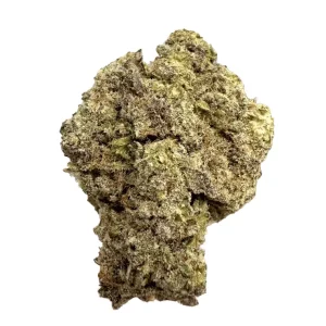 Cantourage MAC 1+ – MAC 1 – Produktbild des Anbieters Dr. Ansay