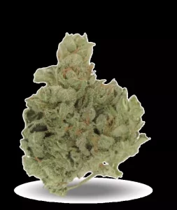 Tilray THC25 Sativa No.4 Island Sweet Skunk – Island Sweet Skunk – Produktbild des Anbieters Dr. Ansay