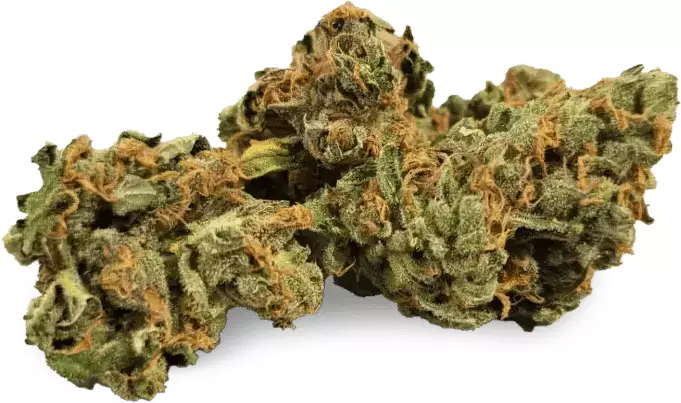 IndiMed 20/1 ISS DE – Island Sweet Skunk – Produktbild des Anbieters Dr. Ansay