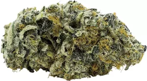 avaay 27/1 JFP – Jet Fuel Pie – Produktbild des Anbieters Dr. Ansay