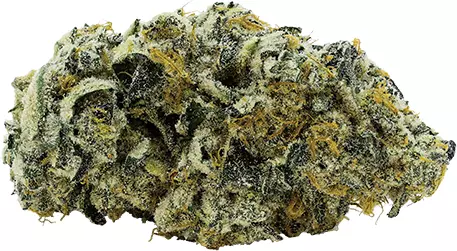avaay 27/1 JFP – Jet Fuel Pie – Produktbild des Anbieters Dr. Ansay