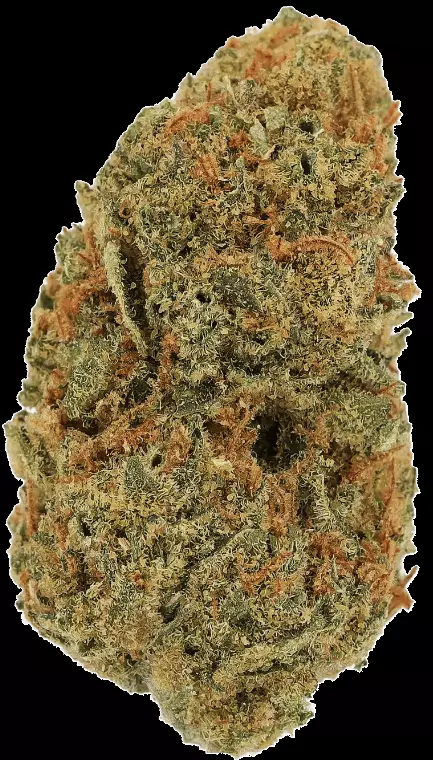 Cannamedical Sativa Classic SA – Jack Herer – Produktbild des Anbieters Dr. Ansay