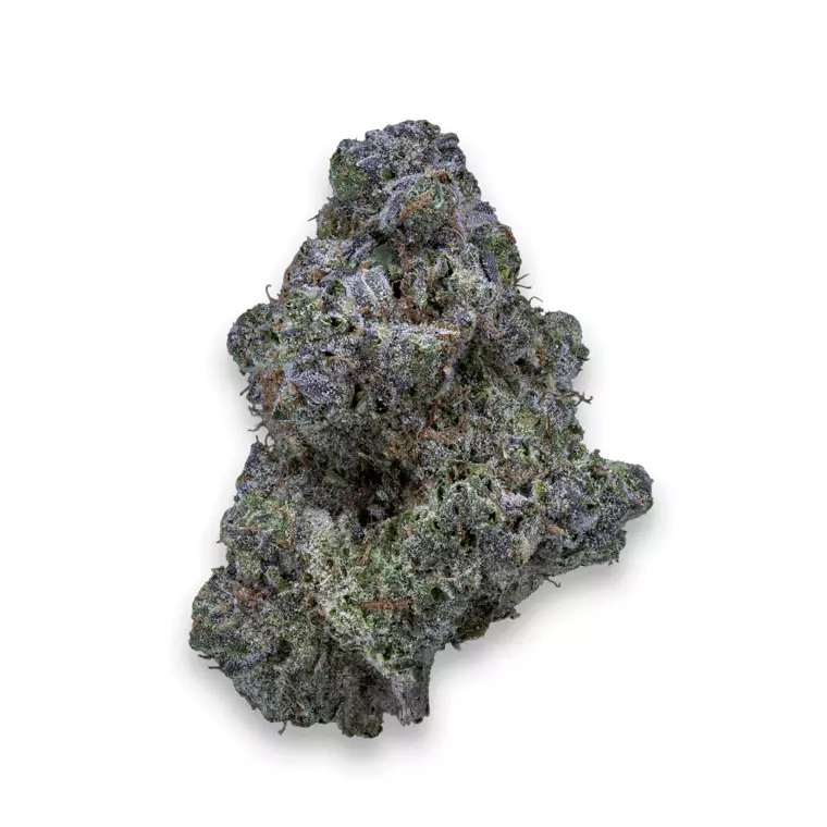 24/1 IUVO KC OJ Zainbow – OJ Zainbow – Produktbild des Anbieters Dr. Ansay
