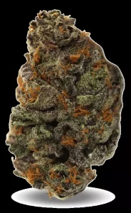 Redecan Cannabisblüten THC25 KGS – King Sherb – Produktbild des Anbieters Dr. Ansay