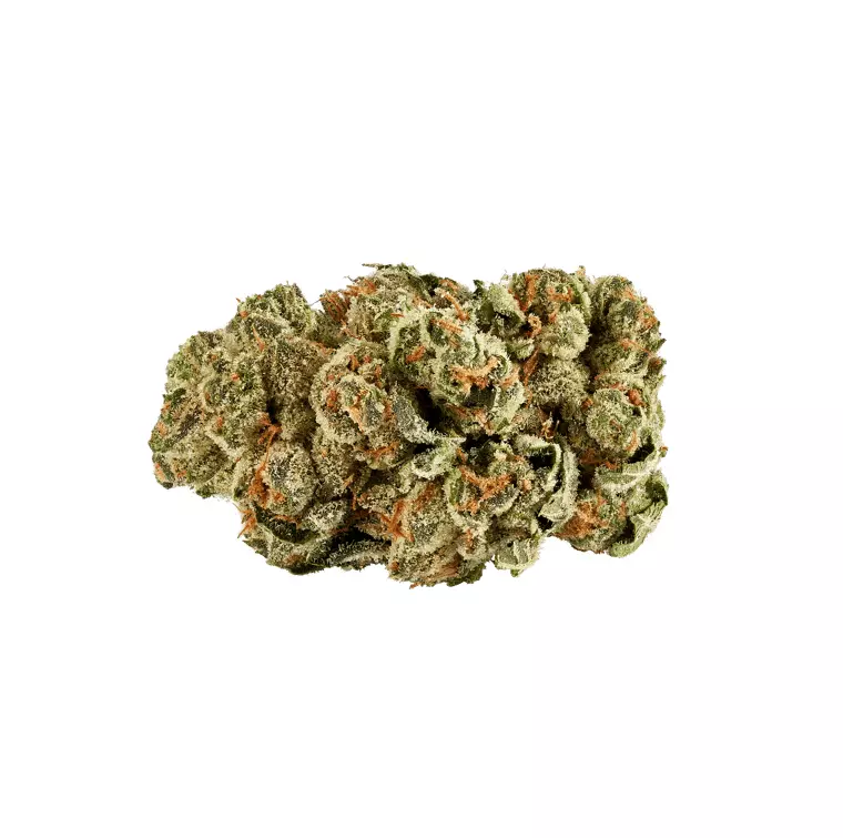 slouu 30/1 ZKS CA – Z Kush – Produktbild des Anbieters Dr. Ansay