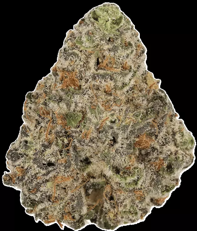 Cannamedical Indica Forte – LA Kush Cake – Produktbild des Anbieters Dr. Ansay