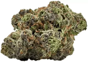LOT 420 GLT 25/1 – Gelato33 – Produktbild des Anbieters Dr. Ansay