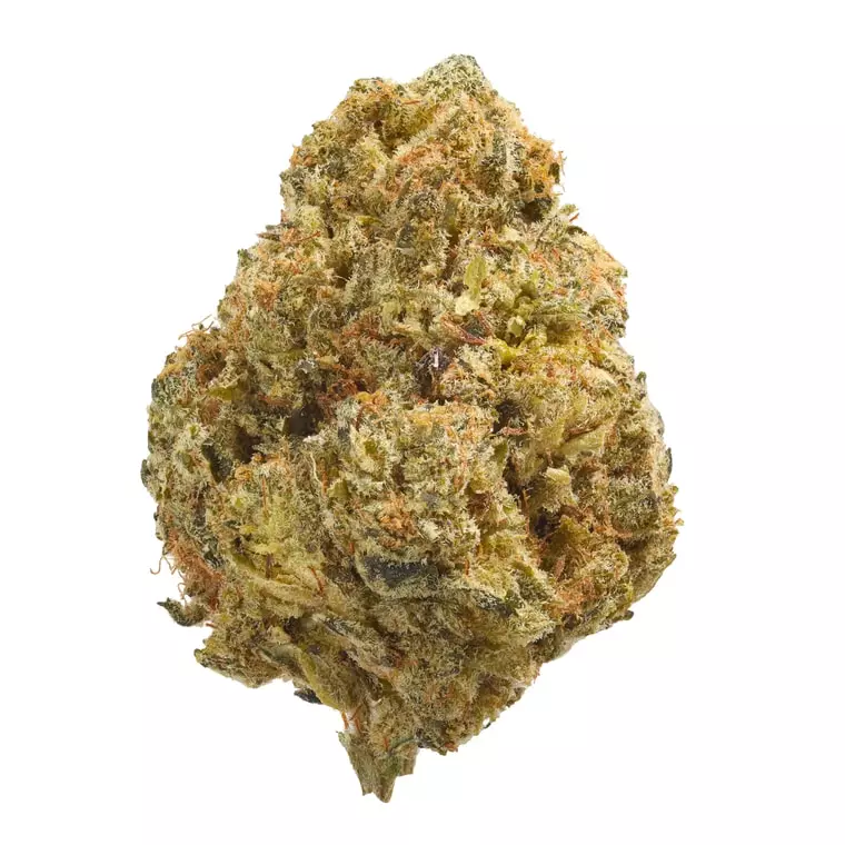 Legend´s GZ 32/1 – Garlic Zkittlez – Produktbild des Anbieters Dr. Ansay