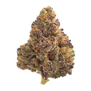 Legend´s RP 34/1 – Rainbow Pavé – Produktbild des Anbieters Dr. Ansay