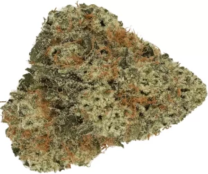 Cannamedical Indica Forte DK – Cookies Kerosene Punch – Produktbild des Anbieters Dr. Ansay