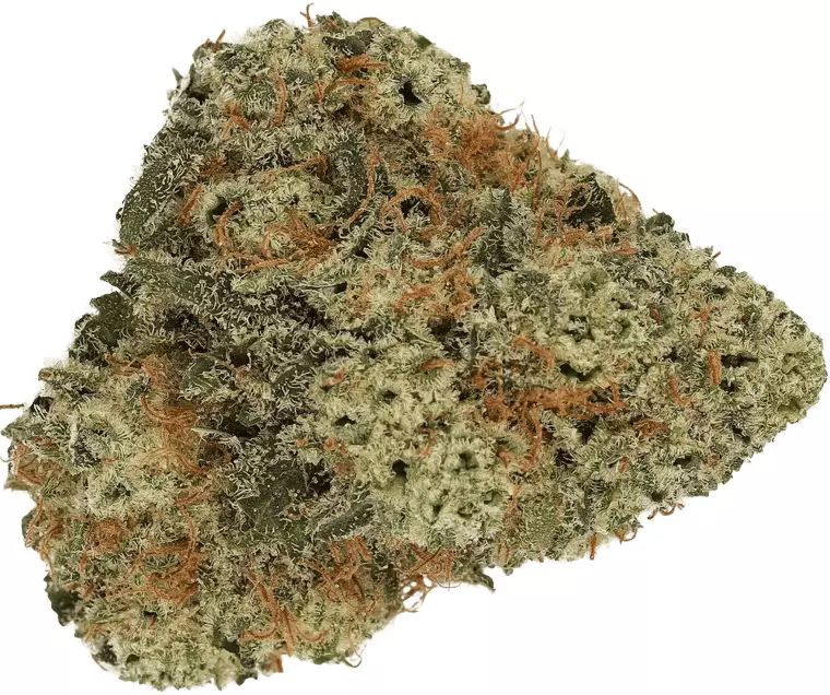 Cannamedical Indica Forte DK – Cookies Kerosene Punch – Produktbild des Anbieters Dr. Ansay