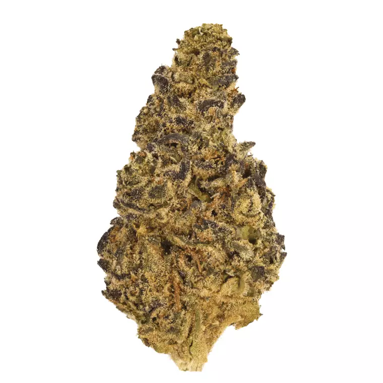 All Nations Pretty Smalls MR 21/1 – Midnight Runtz – Produktbild des Anbieters Dr. Ansay
