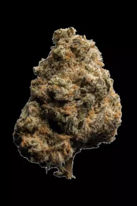 enua 27/1 PS3 CA MYC – Minty Cookies – Produktbild des Anbieters Dr. Ansay