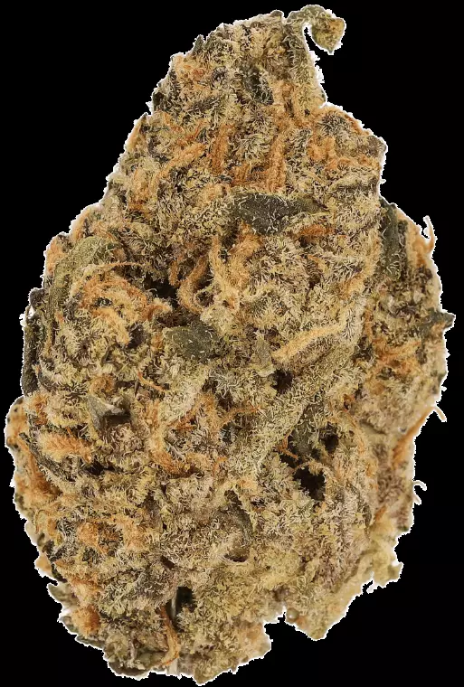 CM 23/1 MC – Manderine Cookies – Produktbild des Anbieters Dr. Ansay