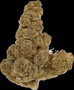 Cannamedical Indica Ultra SM – Mintwave – Produktbild des Anbieters Dr. Ansay