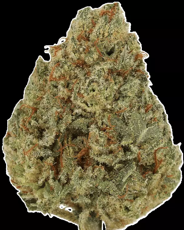 Cannamedical Sativa Forte ES – Nova – Produktbild des Anbieters Dr. Ansay