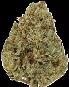 Cannamedical Sativa Ultra ES – Nova – Produktbild des Anbieters Dr. Ansay