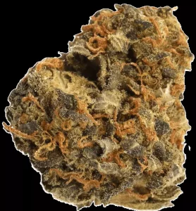 CM 28/1 OG Kush – OG Kush – Produktbild des Anbieters Dr. Ansay