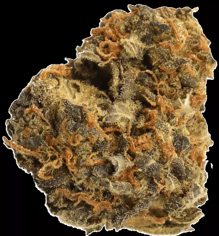 CM 28/1 OG Kush – OG Kush – Produktbild des Anbieters Dr. Ansay