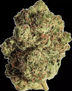slouu 22/1 PS3 CA OGK – OG Kush – Produktbild des Anbieters Dr. Ansay