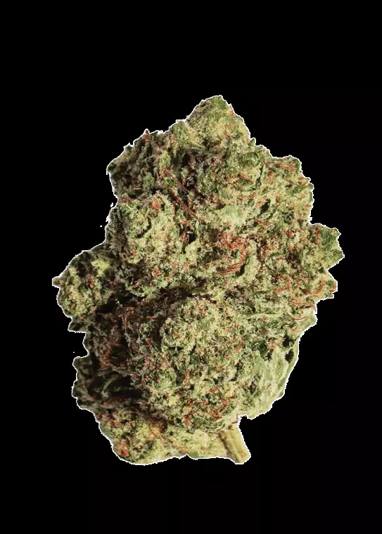 slouu 25/1 PS3 CA OGK – OG Kush – Produktbild des Anbieters Dr. Ansay