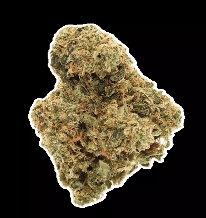 Ostara DT – Dirty Taxi – Produktbild des Anbieters Dr. Ansay