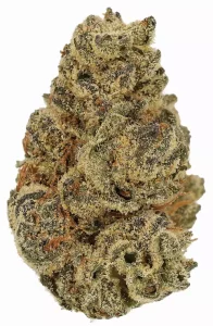 Cannamedical Hybrid Classic KA – Orange Bud – Produktbild des Anbieters Dr. Ansay