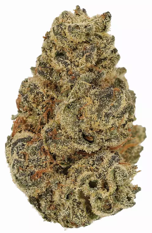 Cannamedical Hybrid Classic KA – Orange Bud – Produktbild des Anbieters Dr. Ansay