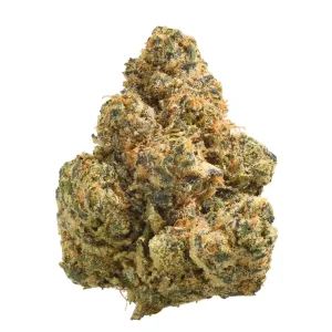 Origine Nature OC 32/1 – Orange Cream – Produktbild des Anbieters Dr. Ansay