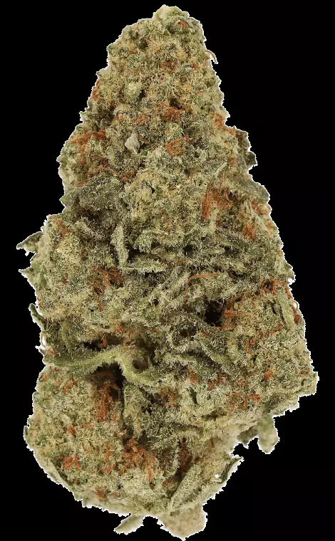 Cannamedical Indica Ultra ES – Papaya Boom – Produktbild des Anbieters Dr. Ansay
