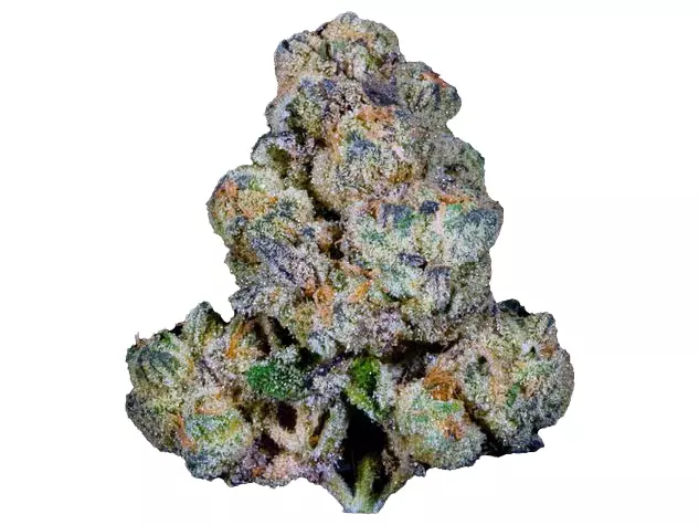 Apollo 33/1 EUF – Delicata Cookies – Produktbild des Anbieters Dr. Ansay