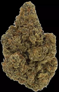 Cannamedical Hybrid Forte BC – Lemon Cookie – Produktbild des Anbieters Dr. Ansay
