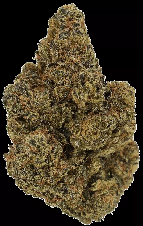 Cannamedical Hybrid Ultra BC – Lemon Cookie – Produktbild des Anbieters Dr. Ansay