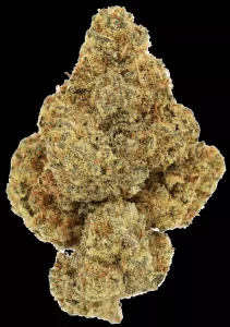 Cannamedical Hybrid Forte KA – Citral Pop – Produktbild des Anbieters Dr. Ansay