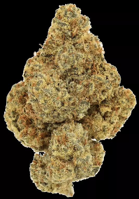 Cannamedical Hybrid Forte KA – Citral Pop – Produktbild des Anbieters Dr. Ansay