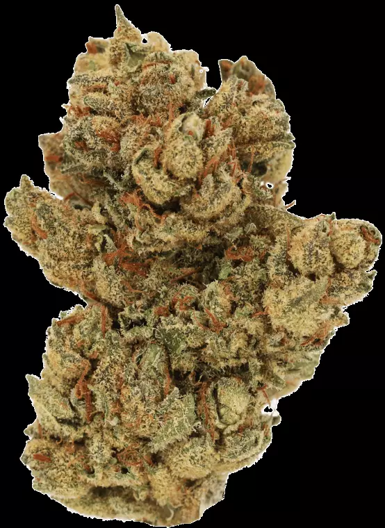 Cannamedical Hybrid Forte KA – Gelato Lemon – Produktbild des Anbieters Dr. Ansay