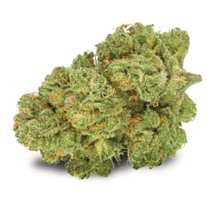 Pedanios 10/13 MBE-CA – Moon Berry – Produktbild des Anbieters Dr. Ansay