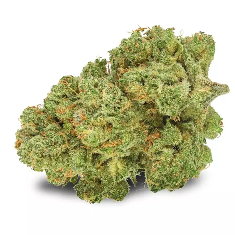 Pedanios 10/13 MBE-CA – Moon Berry – Produktbild des Anbieters Dr. Ansay