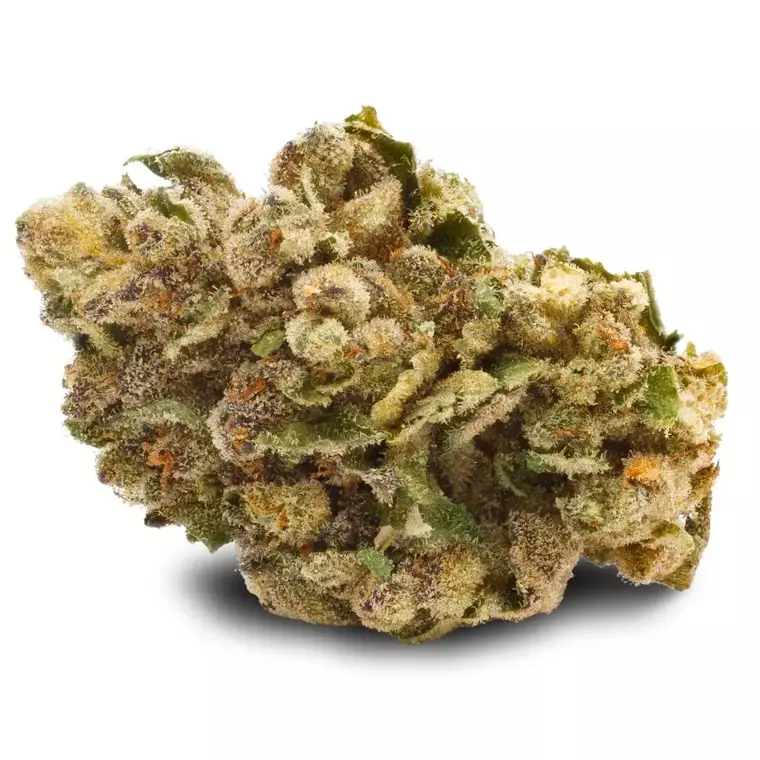 Pedanios 27/1 FRG-CA – Farm Gas – Produktbild des Anbieters Dr. Ansay