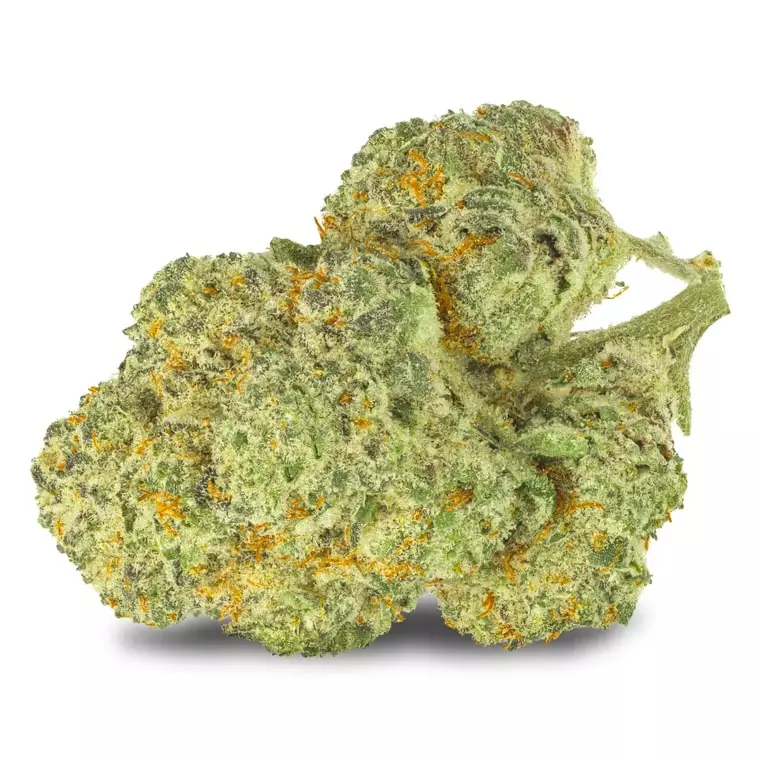 Pedanios 28/1 CMK-CA – Chemango Kush – Produktbild des Anbieters Dr. Ansay