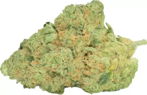 Pedanios 31/1 COS-CA – Cosmic Cream – Produktbild des Anbieters Dr. Ansay