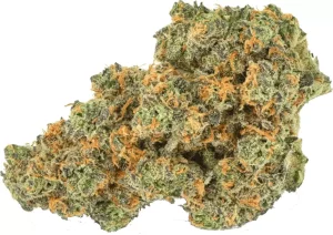 Pedanios 31/1 PND-CA – Pink Diesel – Produktbild des Anbieters Dr. Ansay
