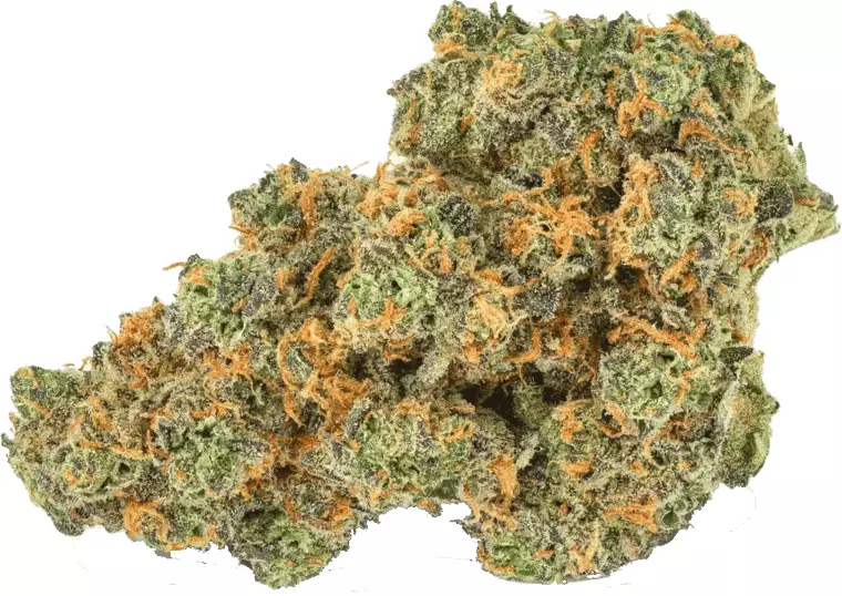 Pedanios 31/1 PND-CA – Pink Diesel – Produktbild des Anbieters Dr. Ansay