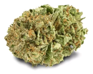 Tilray Cannabisblüten THC18 Hybrid No.2 – Pink Kush – Produktbild des Anbieters Dr. Ansay