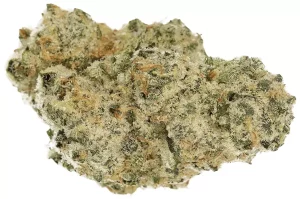 Cannamedical Sativa Ultra 28/1 NM – Polar Cookies – Produktbild des Anbieters Dr. Ansay