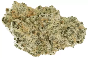 Cannamedical Sativa Ultra NM – Polar Cookies – Produktbild des Anbieters Dr. Ansay