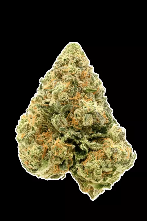 CherryCo THC 23 Sativa – Skyflow Ghost – Produktbild des Anbieters Dr. Ansay