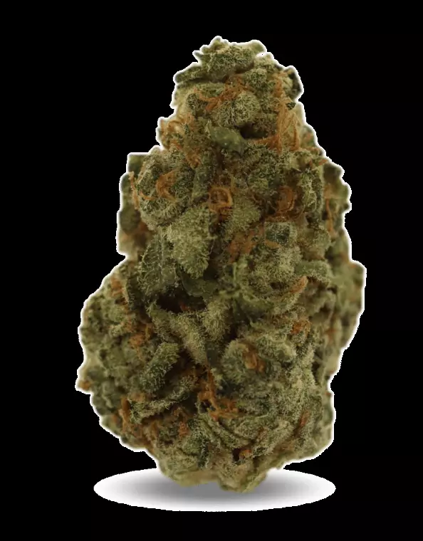 Good Supply Cannabisblüten THC30 PPC – Purple Churro – Produktbild des Anbieters Dr. Ansay