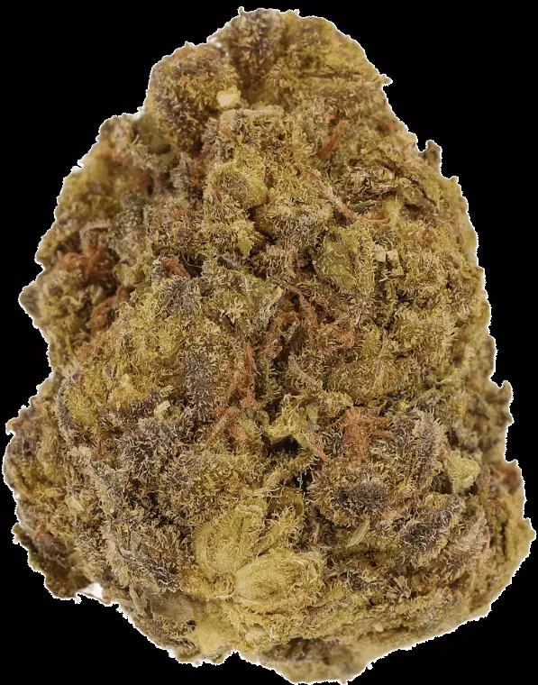 Cannamedical CM 24/1 Rain – Rainbow Cookies – Produktbild des Anbieters Dr. Ansay